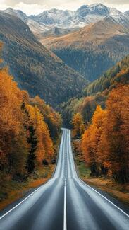 путешествия