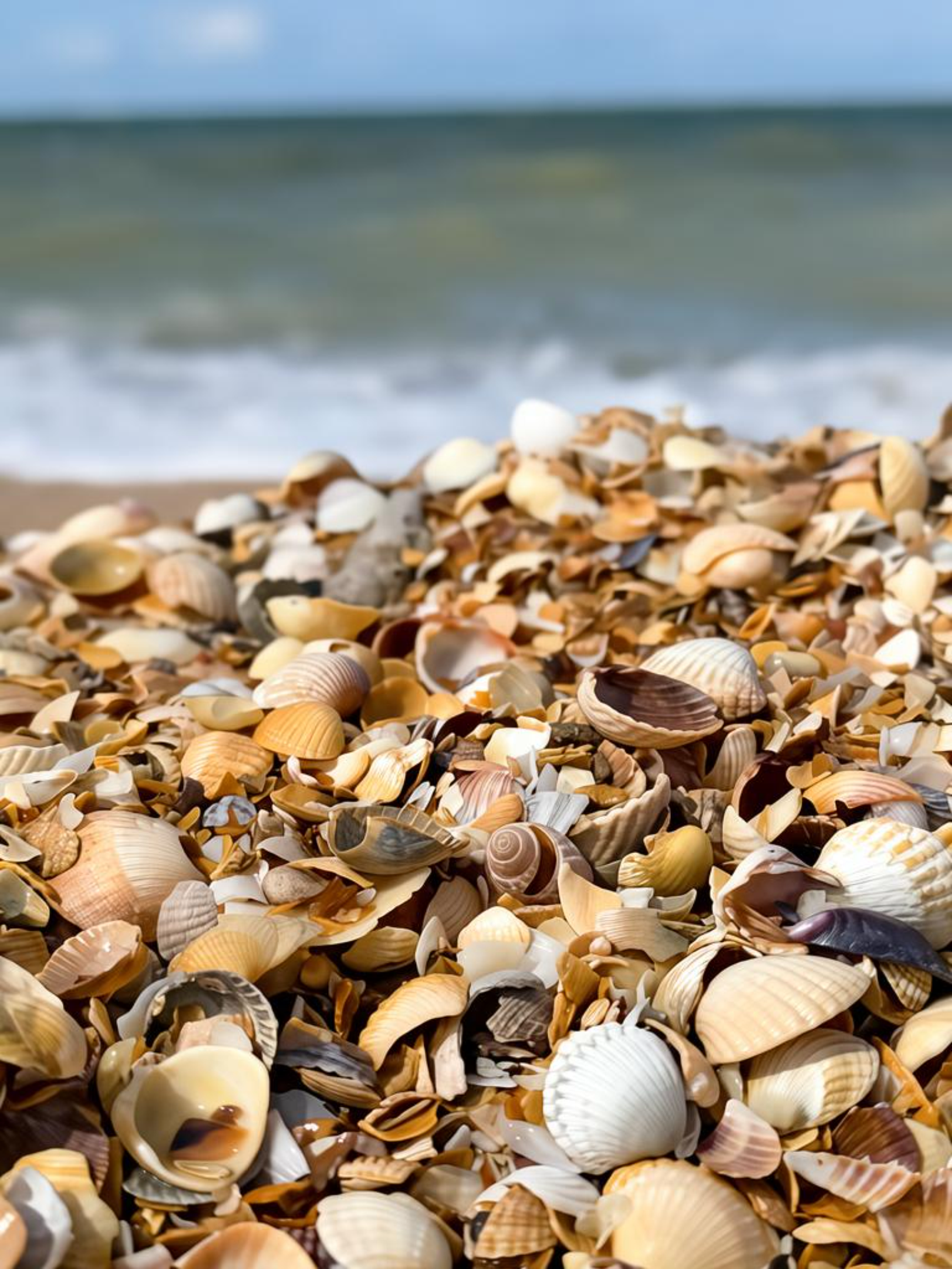Туры из Воронежа на море