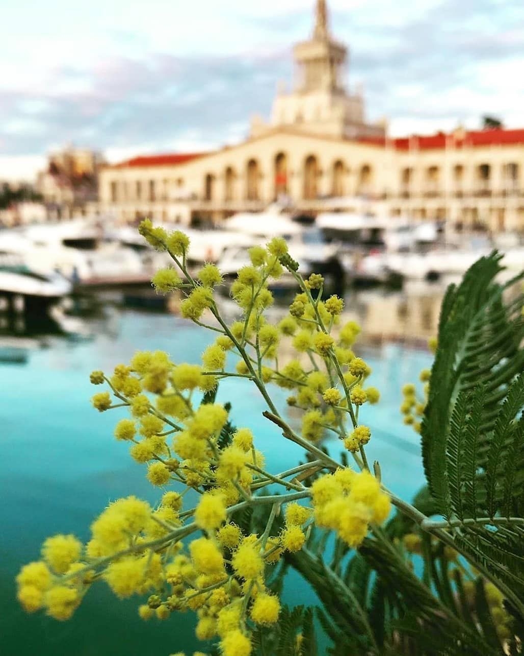 Туры из Воронежа