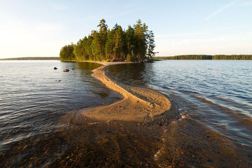 Кврелия