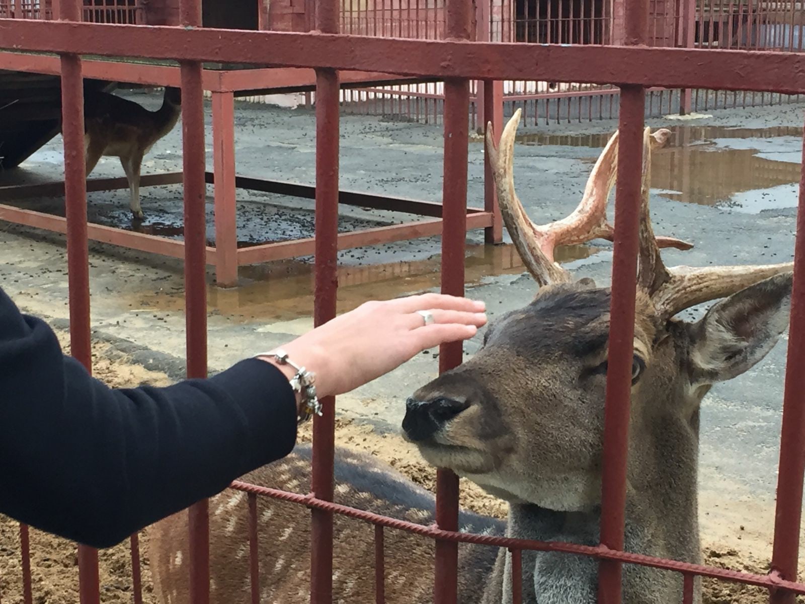 Туры из Воронежа