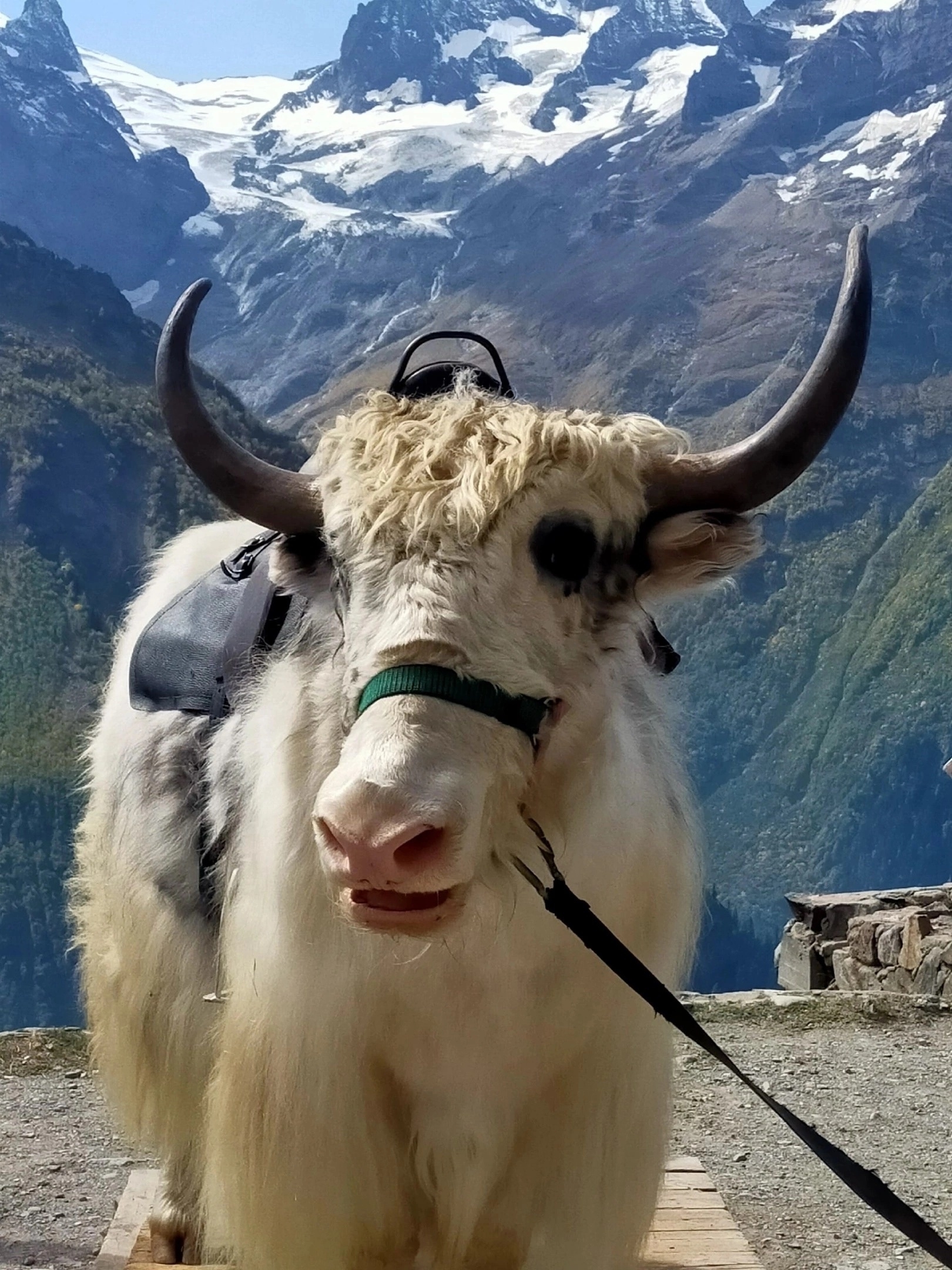 Туры из Воронежа